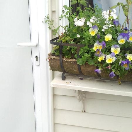 Geranium Cottage-Mt Taranaki Стратфорд Екстер'єр фото